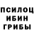 Галлюциногенные грибы Psilocybine cubensis MAKS SHATALIN