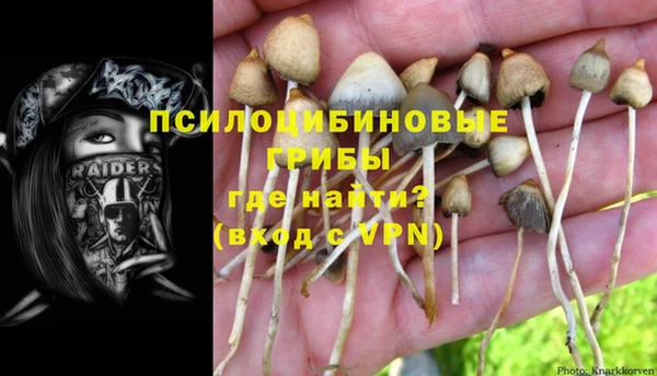 молекула духа Горно-Алтайск