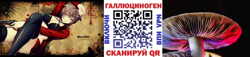 Купить закладки  Малоярославец  Псилоцибиновые грибы ЛСД 